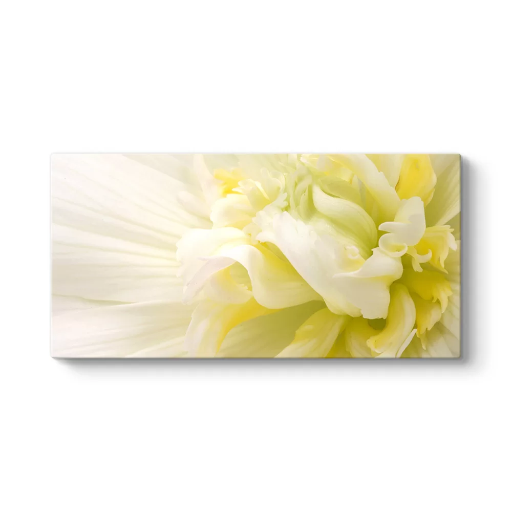 White Flower III Tablosu - Model 5